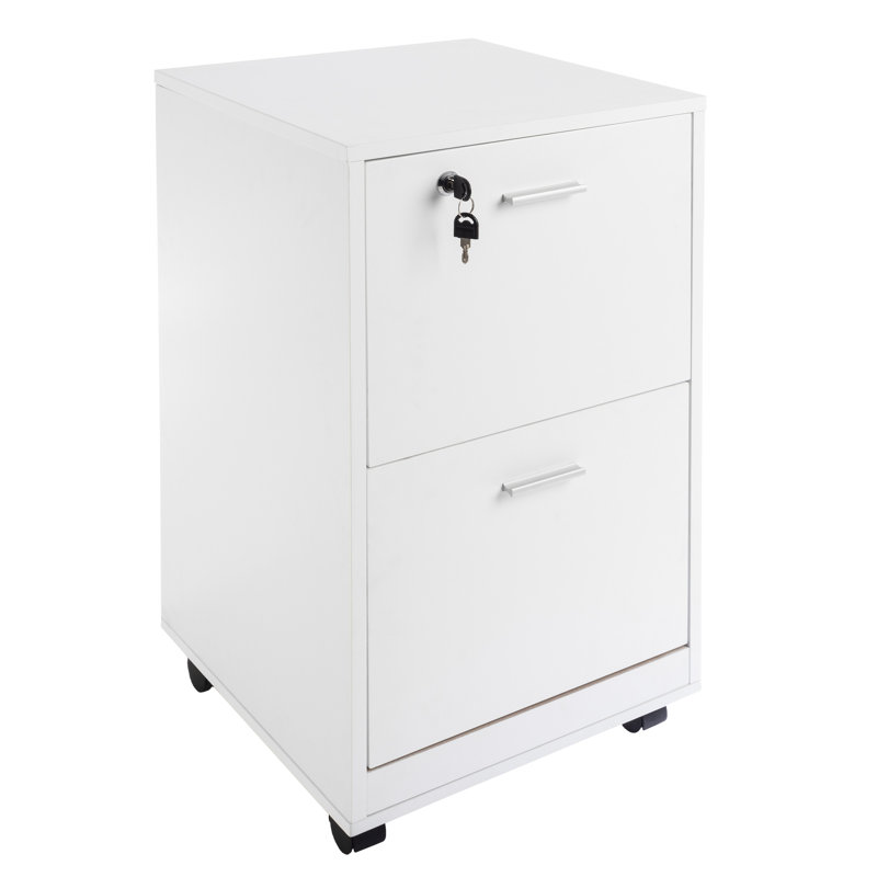 Ebern Designs File Cabinet - 2-Drawer Cabinet with Lock and Deep Drawer Storage - Rolling Filing Organizer for Under The Desk, Home, or Office
