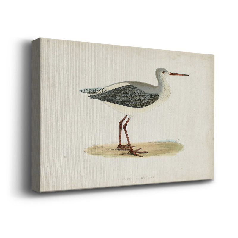 Morris Sandpipers I - impression sur toile tendue, L 18 po x H 12 po