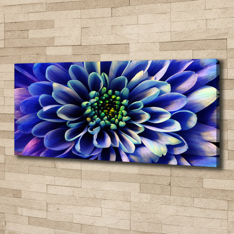 Aster - Wrapped Canvas Print