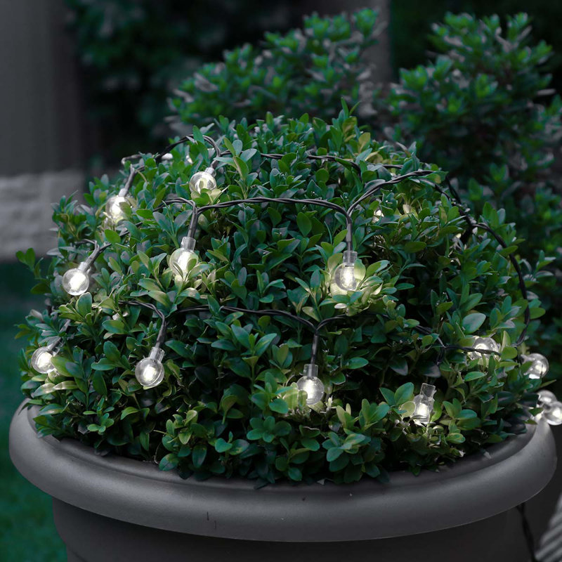 Indoor / Outdoor String Lights, White