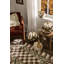 Mocha Swirl Twisted Stem Pumpkin