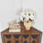 30.7“ Corner Accent Cabinet-1426112956