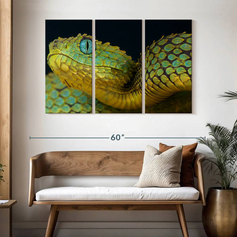 Brampt African Bush Viper, 32" H x 50" W