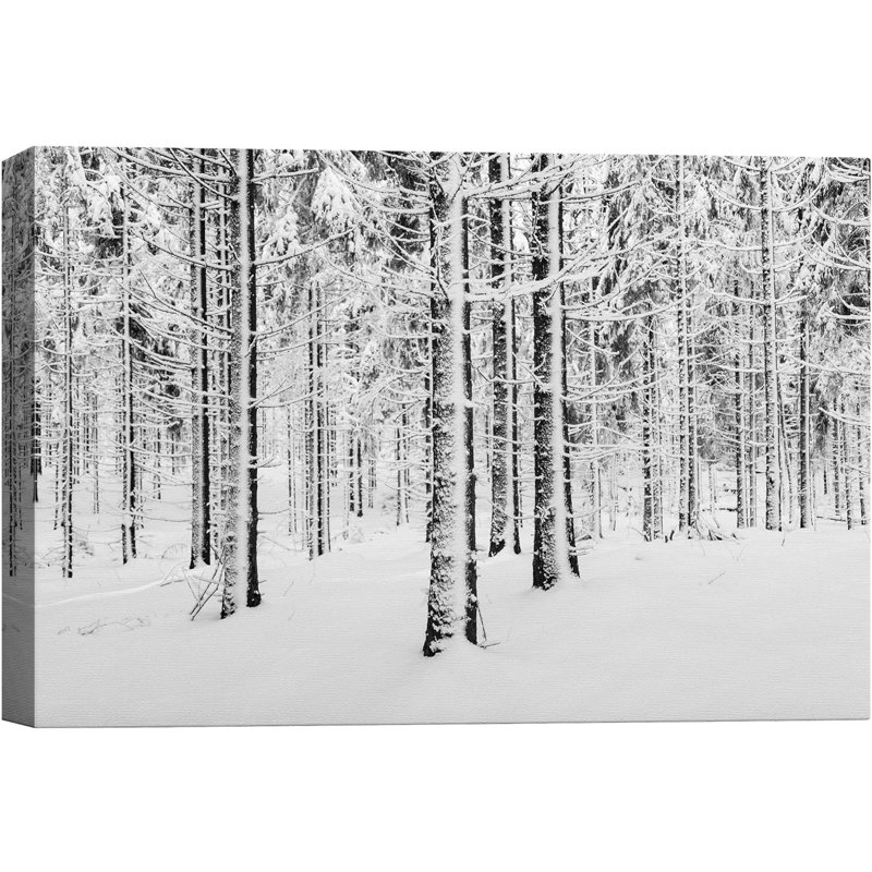 «Winter Snow Covered Birch Trees On The Hillside Nature Landscape Forest Modern» sur toile, H 24 po x l 36 po