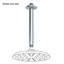 Bras de douche 8 po, chrome