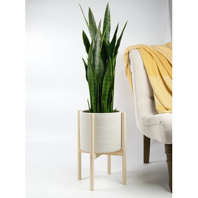 Jayzeon Handmade Pot Planter