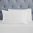 Superior 100% Cotton Chain Link Embroidered Deep Pocket Bed Sheet Set-110801337-100474912