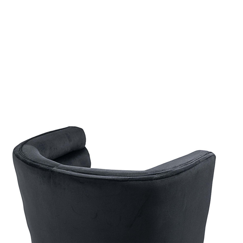 Fauteuil d'appoint rembourré classique en velours 0454F01C375B413CAA79F07379C234F7, Velours noir