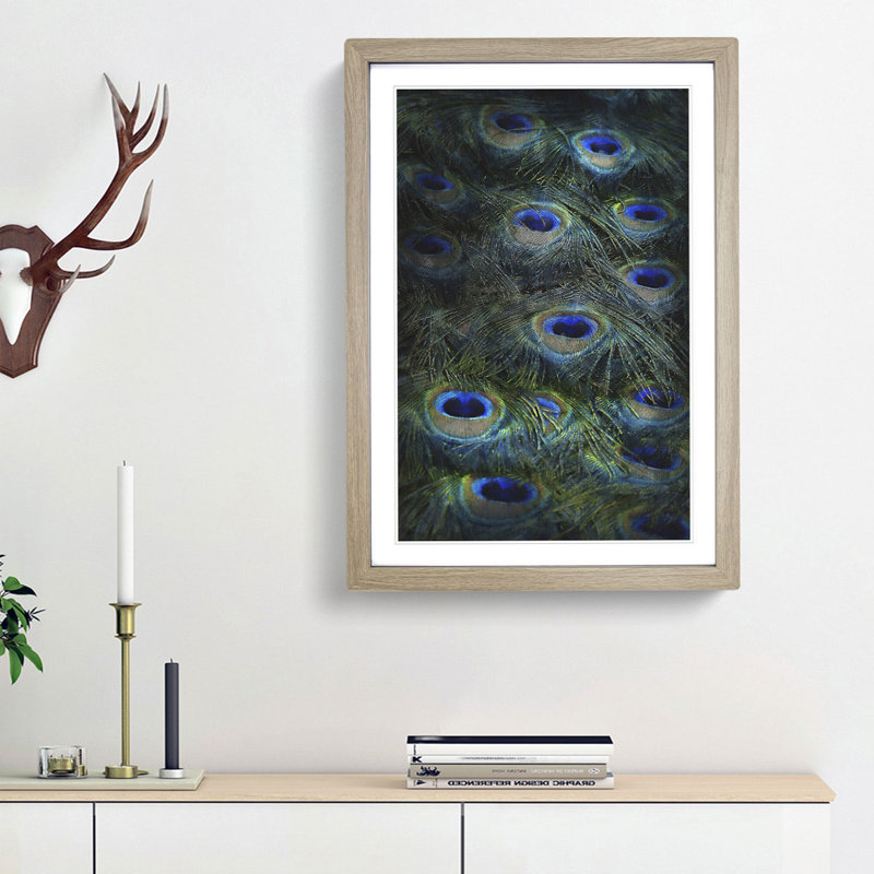 The Feathers of a Peacock - Picture Frame Painting Print, 87cm H x 62cm W x 2cm D, Oak Framed