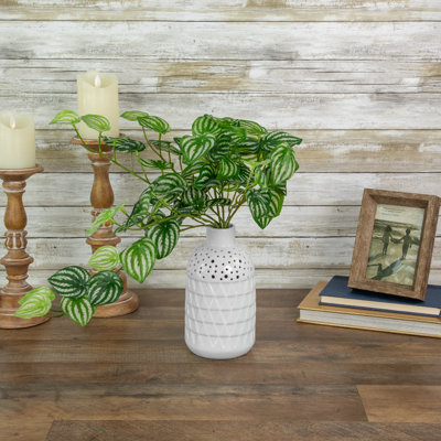 12'' Faux Peperomia Watermelon Tree