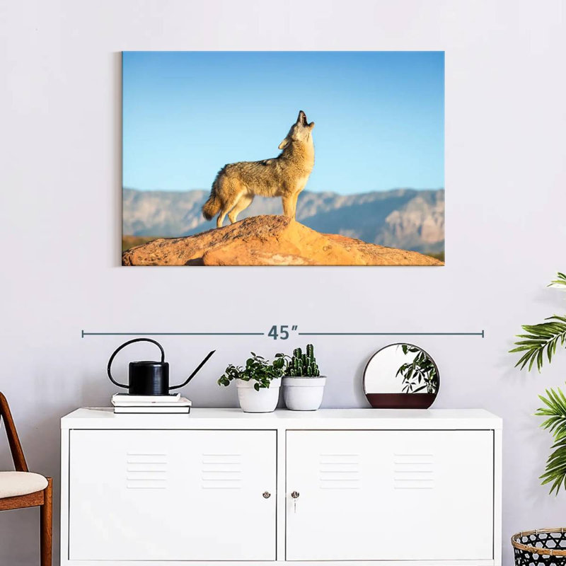 Brampt Howling Coyote, 24'' H x 36'' W