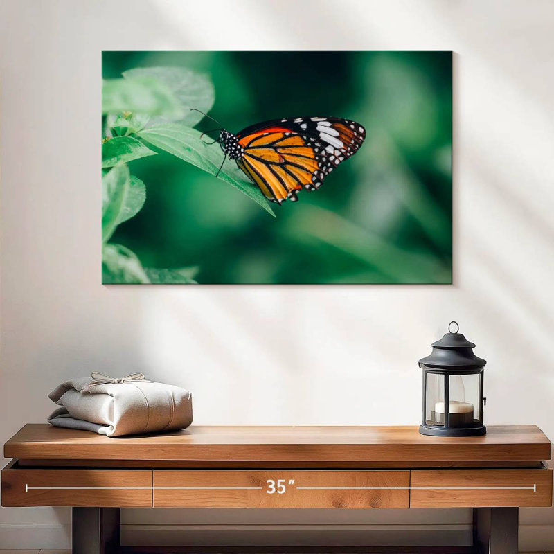 Brampt papillon orange, H 16 po x l 24 po