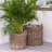 Park Hill Collection Willow Decorative Basket