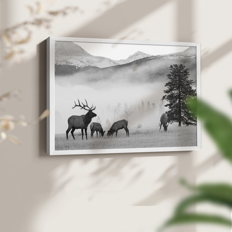 Élan des montagnes - reproduction encadrée - réarmable, H 8 po x l 10 po, Blanc