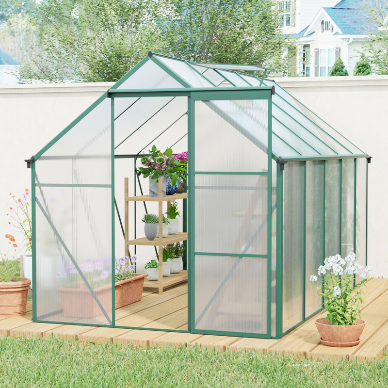 Serre en polycarbonate surélevée 6X10FT