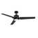 Ameeyah 52'' Ceiling Fan with LED Lights