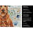 Irish Terrier Coastal Sea Glass Kitchen Towel-871464411