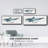 Whale IV- Framed Canvas-111255039