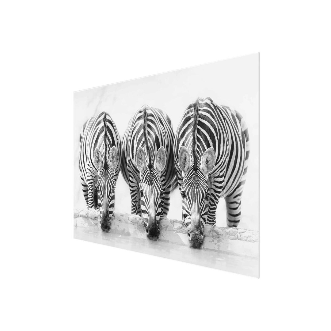 Glasbild Zebra Trio