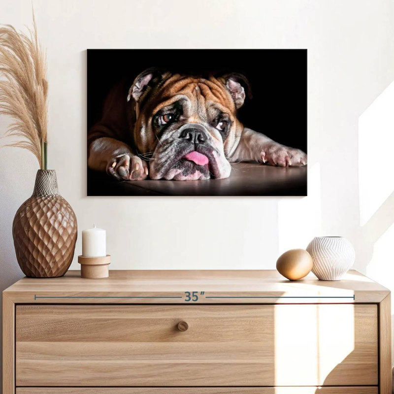 Sad Bulldog, 16" H x 24" W