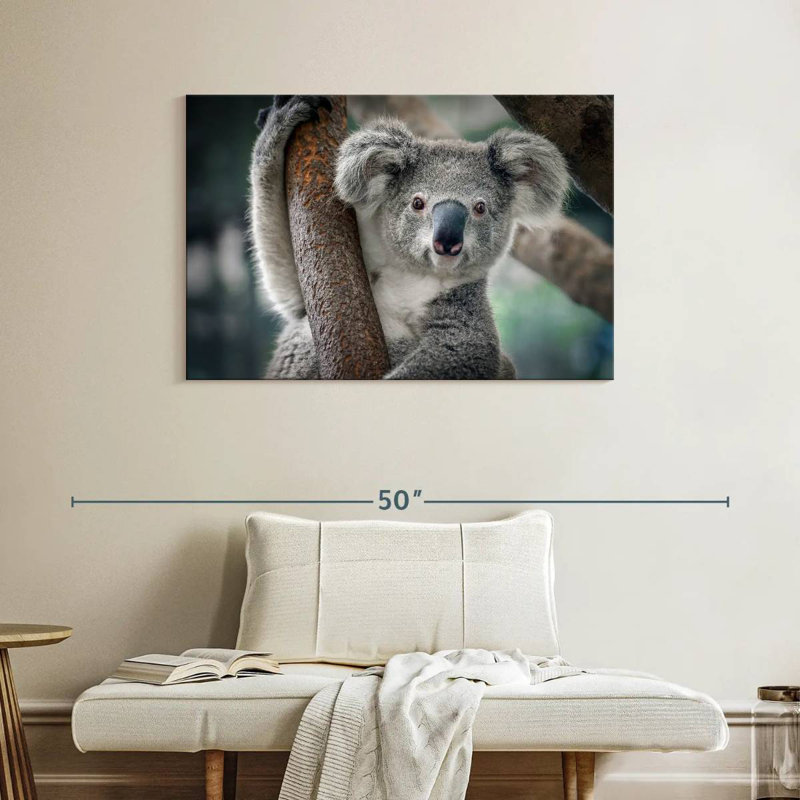 Brampt Happy Koala, 26" H x 39" W
