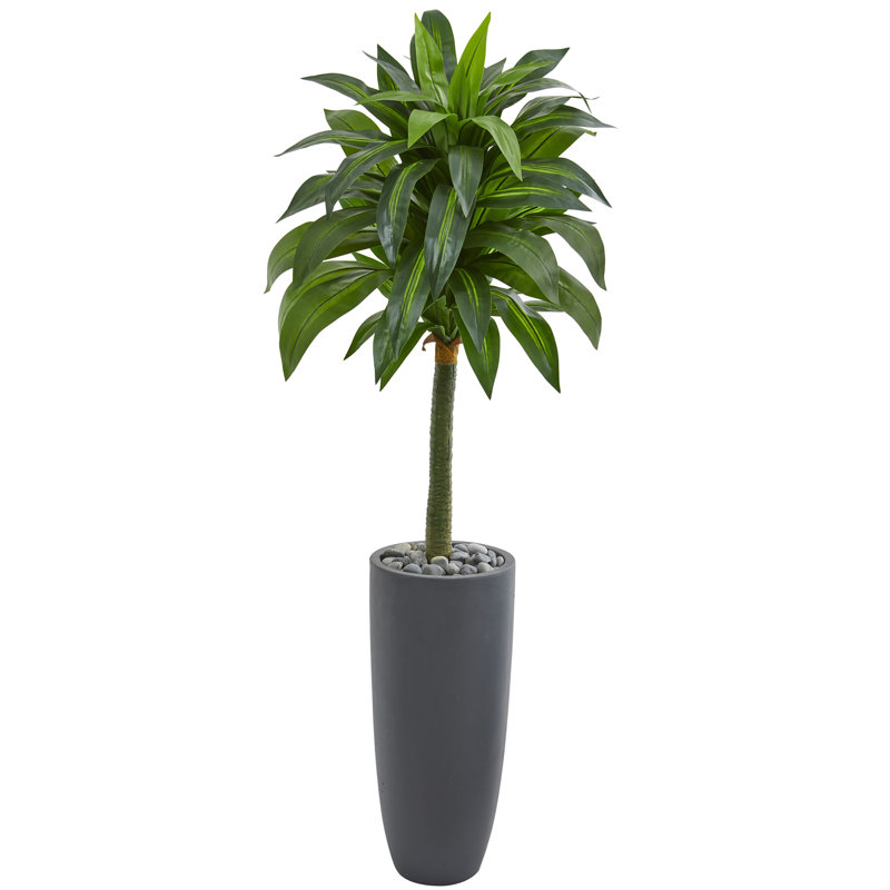 Arbre de dracaena artificiel 36" en pot
