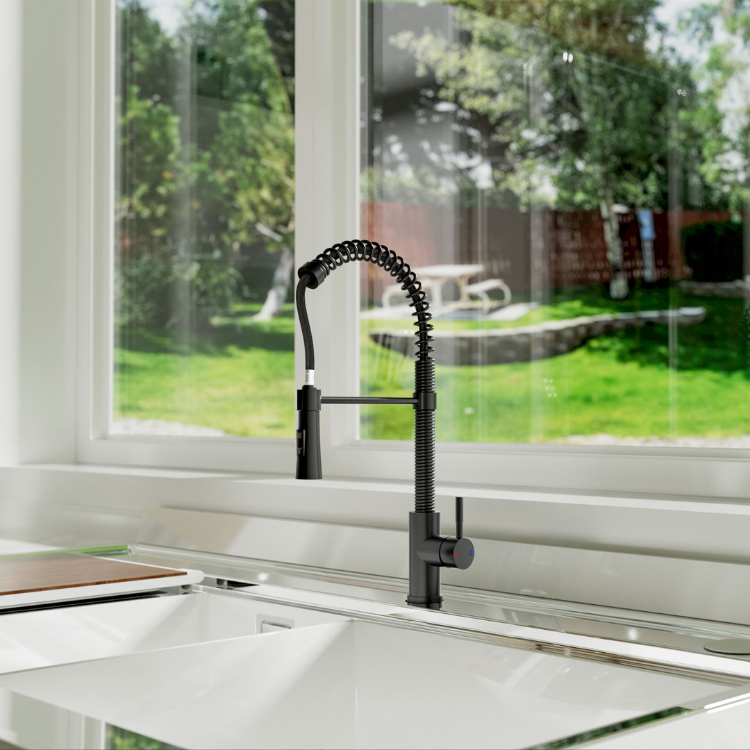RoomTec Pull Down Kitchen Faucet RoomTec