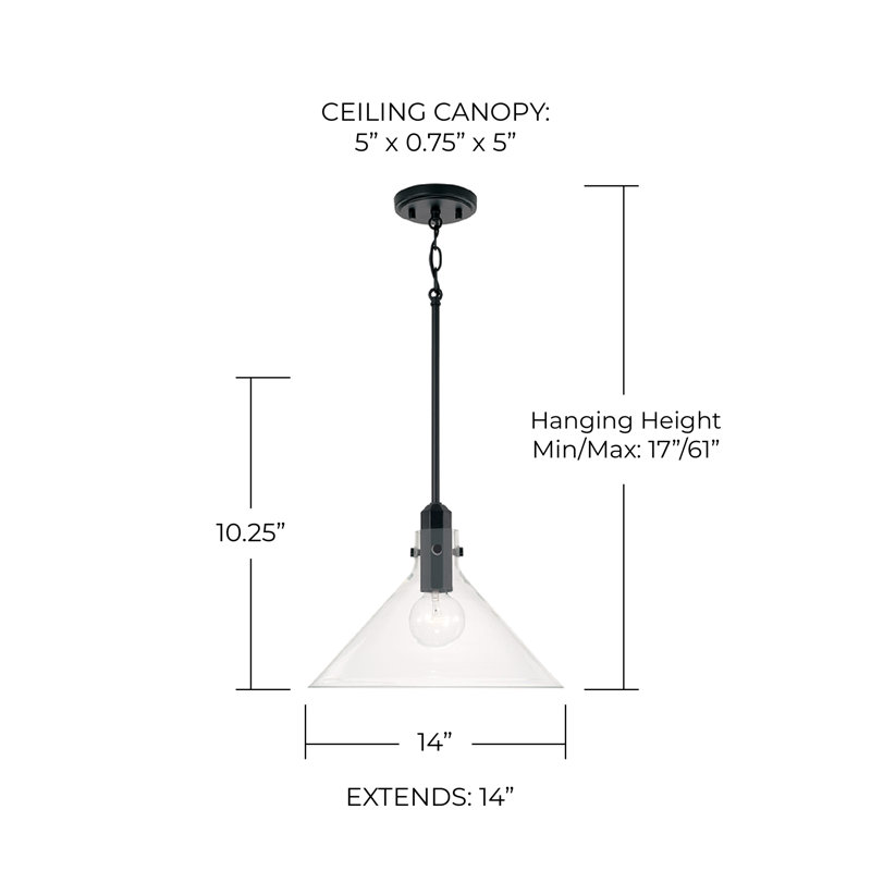 1 - Light Single Pendant, Matte Black