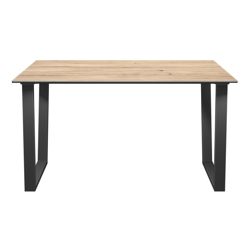 Adreann Metal Base Dining Table