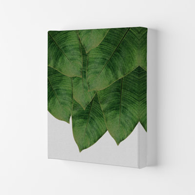 Banana Leaf III - Print