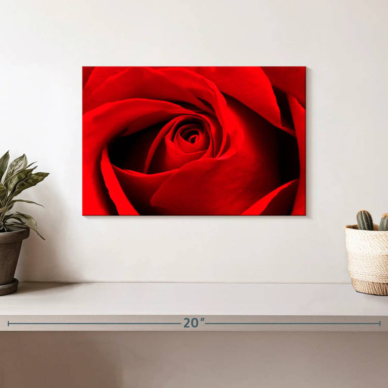 Harnek, gros plan d'une rose rouge, H 8 po x l 12 po