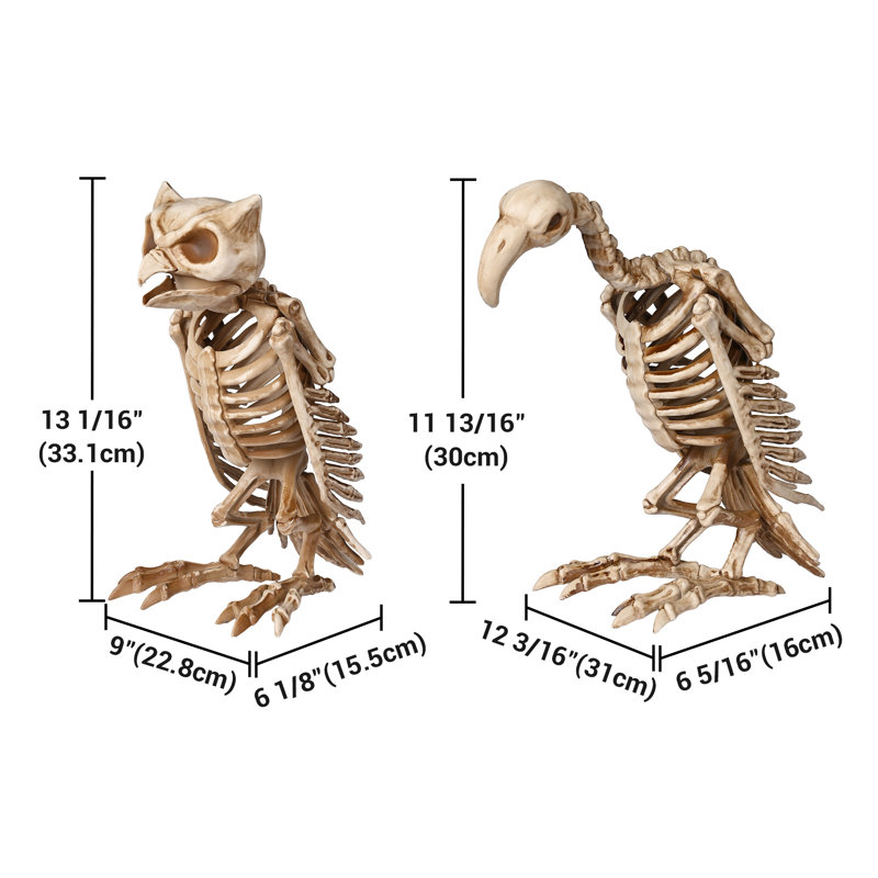  1 paire de vautour et 1 pièce de décoration d'Halloween squelette hibou