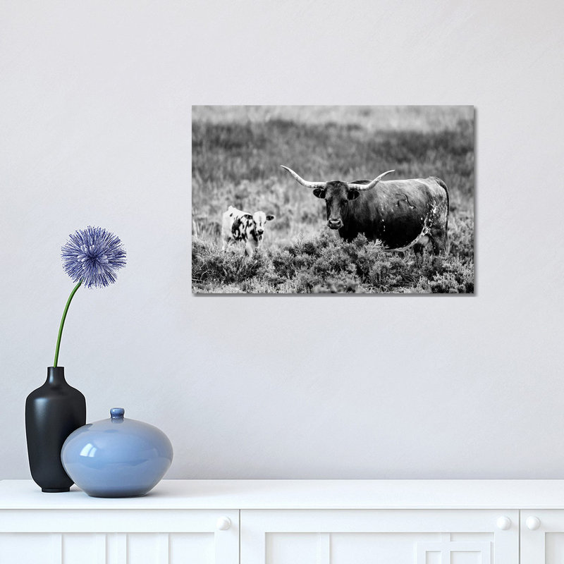 B&W Longhorn II 1 Piece Wrapped Canvas Wall Art, 30.48 cm H x 45.72 cm W