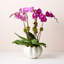 Mirabelle Ceramic Table Vase-48487603