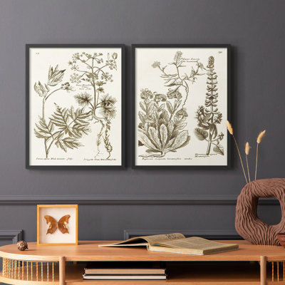 «Sepia Botanical Journal III», reproduction encadrée de qualité supérieure - prête à être accrochée - aucun clou requis - aucun clou requis