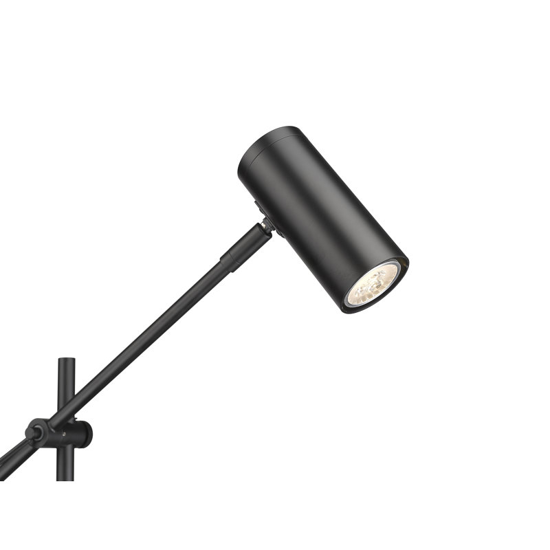 Ahmed-Farhan 48.25'' Task Floor Lamp, Matte Black