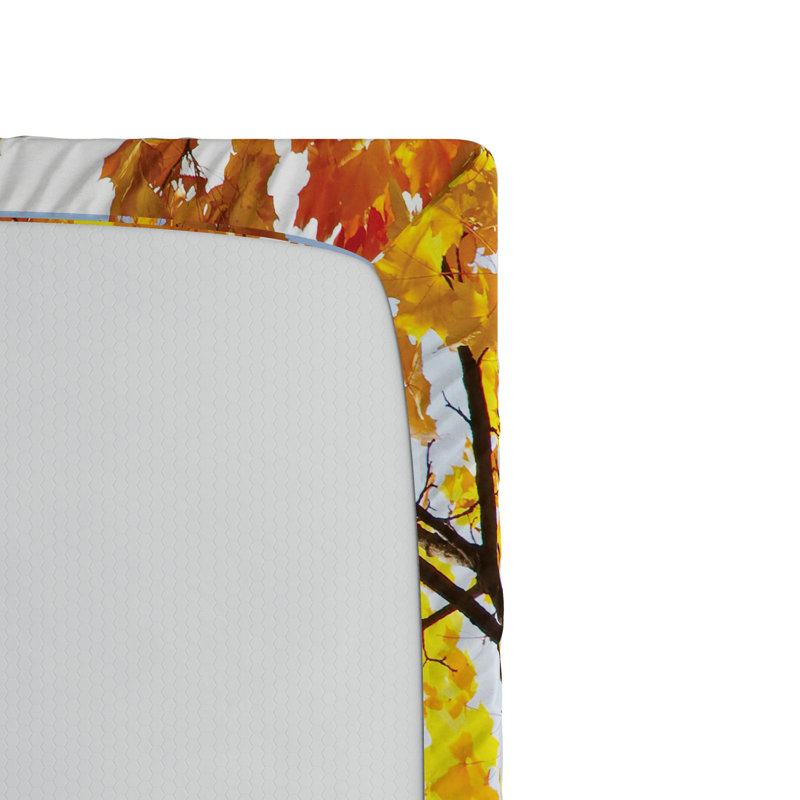 Drap-housse pour feuilles, Drap-housse simple TG