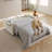 55" Velvet Two Seater Pull Out Sofa Bed, Adjustable Backrest With USB Ports, Two Side Pockets-960608647