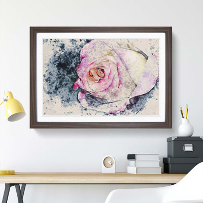 Pink Tipped Rose - Framed Print