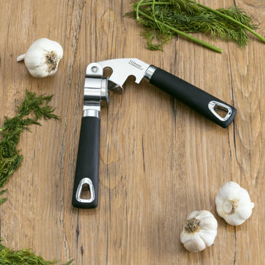 Buy ZWILLING Pro Tools Garlic press