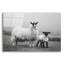 Art mural en verre épique «Islay Sheep 1» par Laura Marshall-1394920055