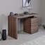 Hollice Desk-116319069