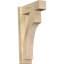 Sapin Douglas-113998552-109329537