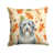 Bearded Collie