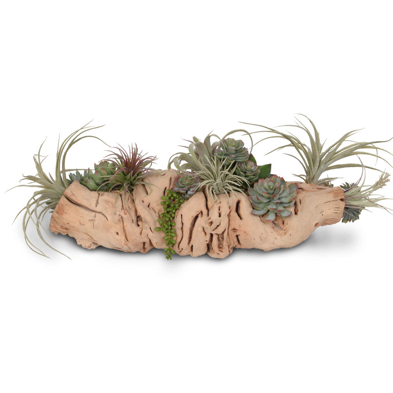 Faux Succulent Plant in Wood Pot