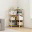 46.5cm W Bookcase-1800296025
