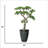 54"H Real-touch beauty Bonsai