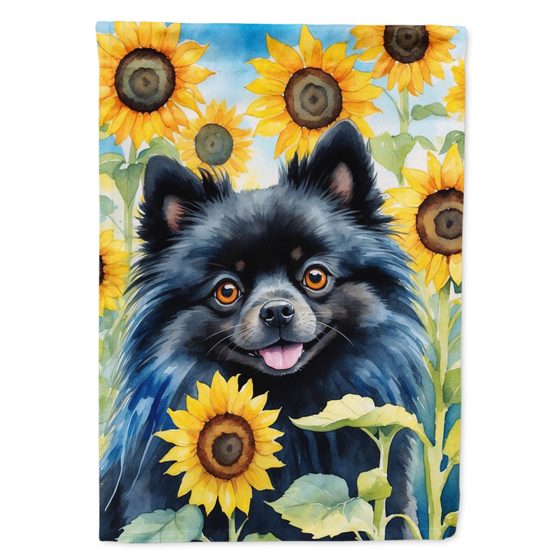 Lévrier irlandais dans le drapeau du jardin de tournesols, Loulou de Poméranie noir