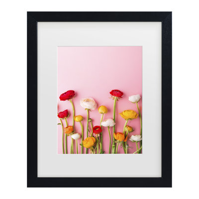 Incado Vibrant Ranunculus Matted Framed Art