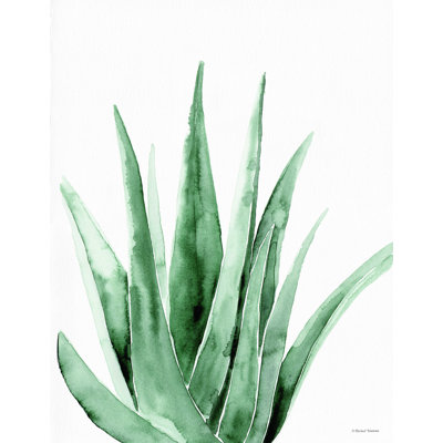 «Summer Botanicals 2» par Rachel Nieman - reproduction d'art sur toile tendue